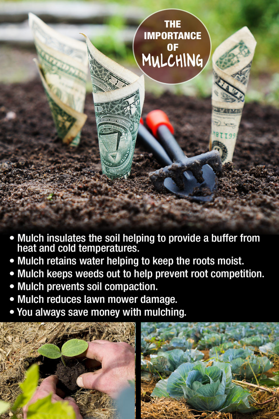 Mulch Calculator Buy Mulch Direct
